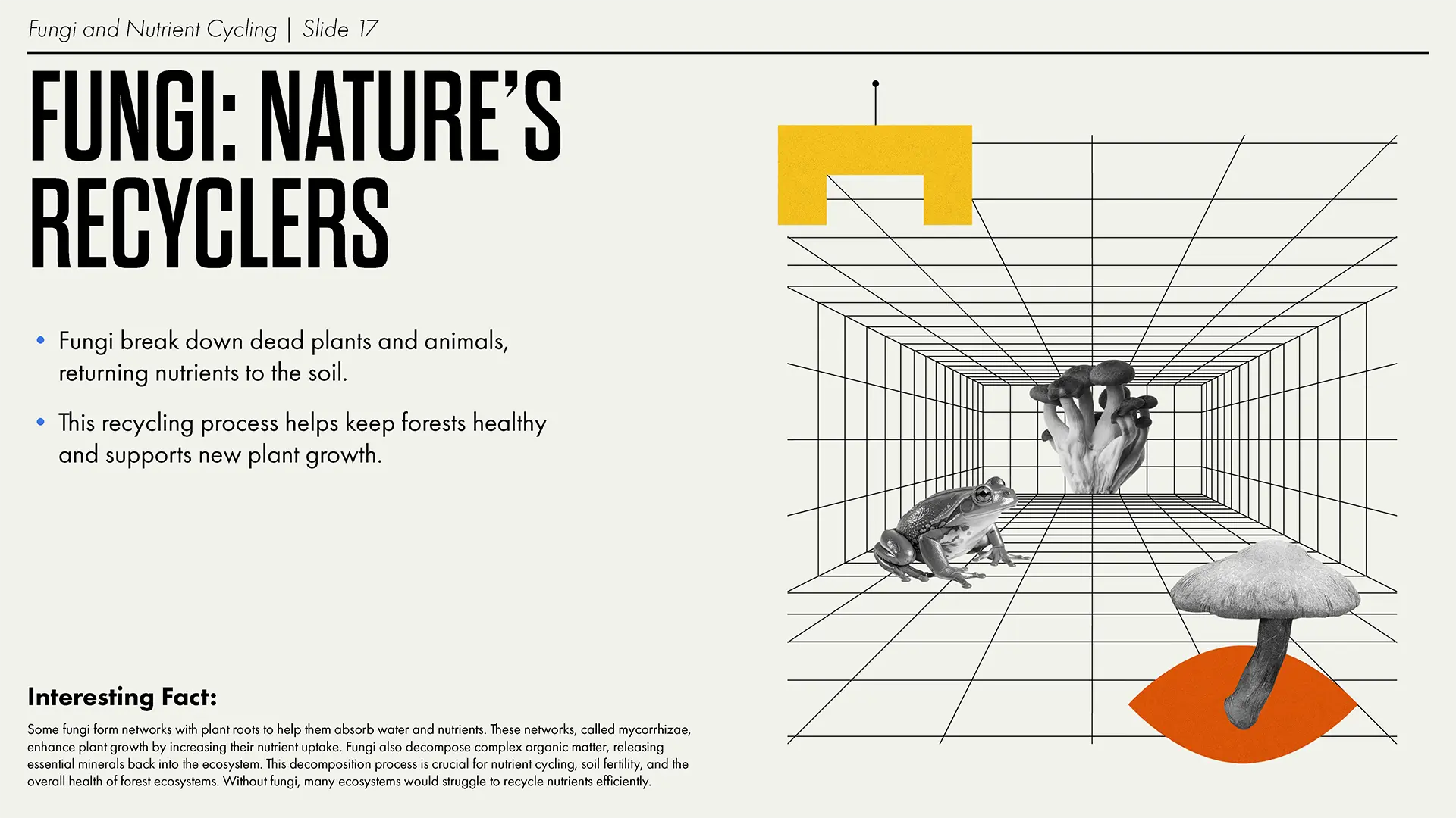 Climate presentation slide 2